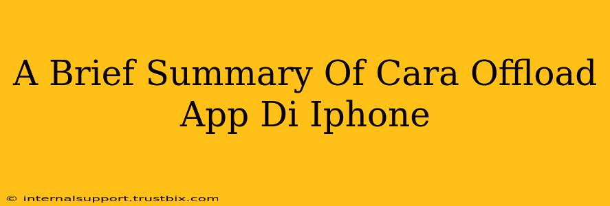 A Brief Summary Of Cara Offload App Di Iphone