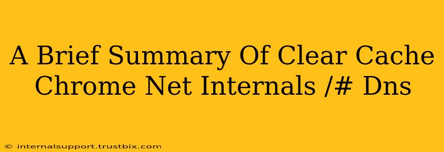 A Brief Summary Of Clear Cache Chrome Net Internals /# Dns