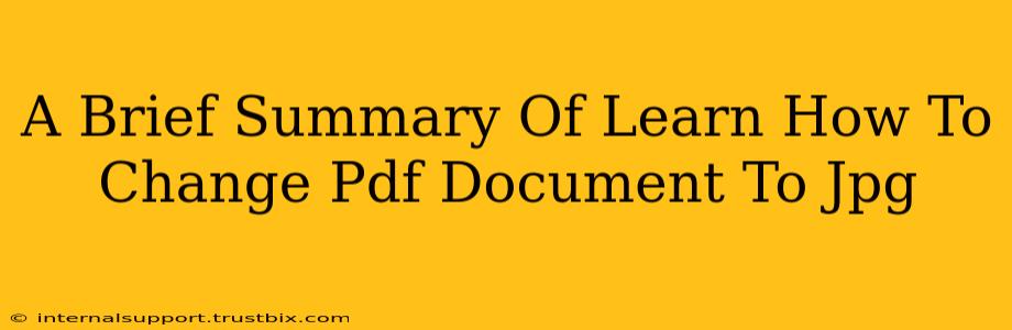 A Brief Summary Of Learn How To Change Pdf Document To Jpg