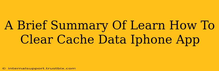 A Brief Summary Of Learn How To Clear Cache Data Iphone App