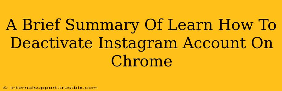 A Brief Summary Of Learn How To Deactivate Instagram Account On Chrome