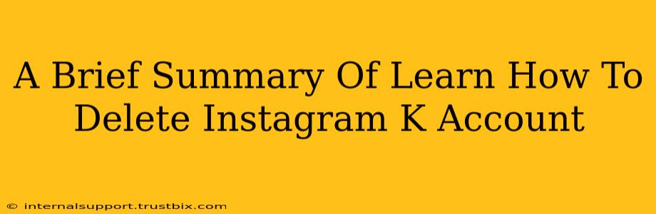 A Brief Summary Of Learn How To Delete Instagram K Account