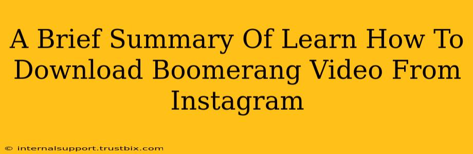 A Brief Summary Of Learn How To Download Boomerang Video From Instagram