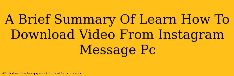 A Brief Summary Of Learn How To Download Video From Instagram Message Pc