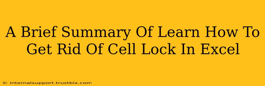 A Brief Summary Of Learn How To Get Rid Of Cell Lock In Excel