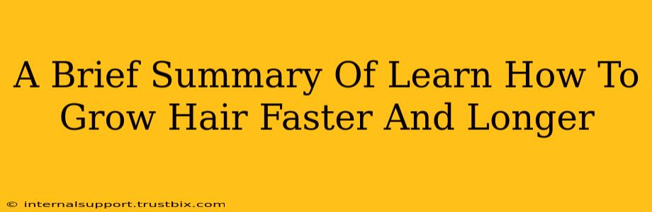 A Brief Summary Of Learn How To Grow Hair Faster And Longer