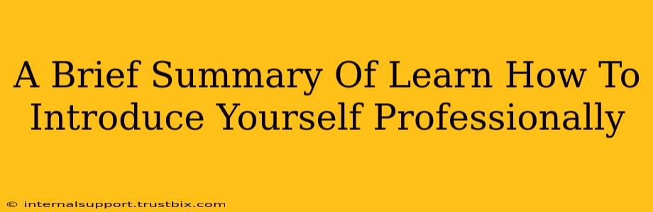 A Brief Summary Of Learn How To Introduce Yourself Professionally