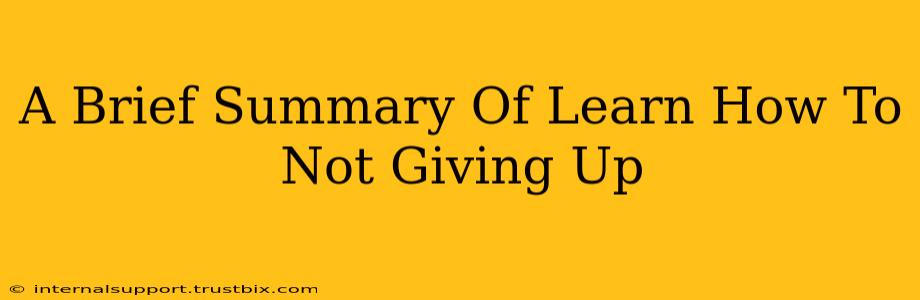 A Brief Summary Of Learn How To Not Giving Up