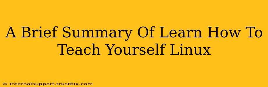 A Brief Summary Of Learn How To Teach Yourself Linux