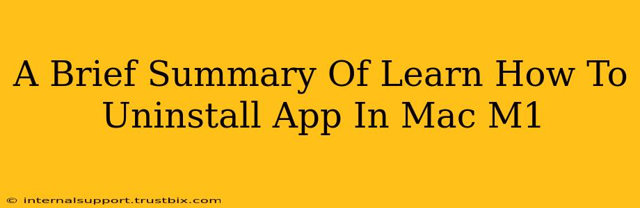 A Brief Summary Of Learn How To Uninstall App In Mac M1