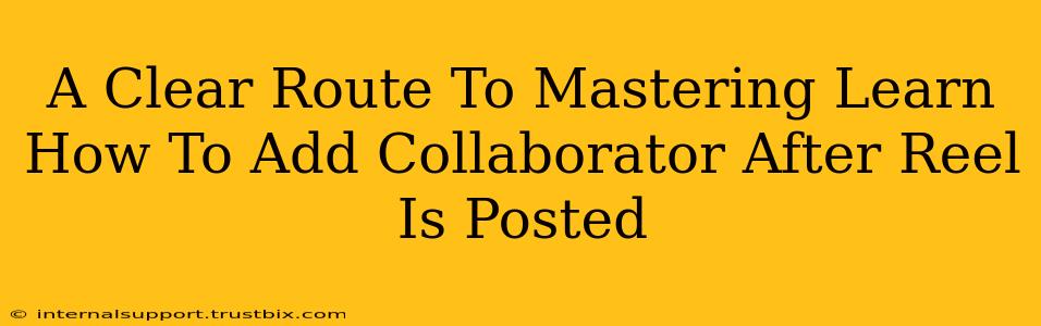 A Clear Route To Mastering Learn How To Add Collaborator After Reel Is Posted