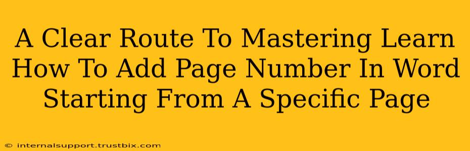 A Clear Route To Mastering Learn How To Add Page Number In Word Starting From A Specific Page