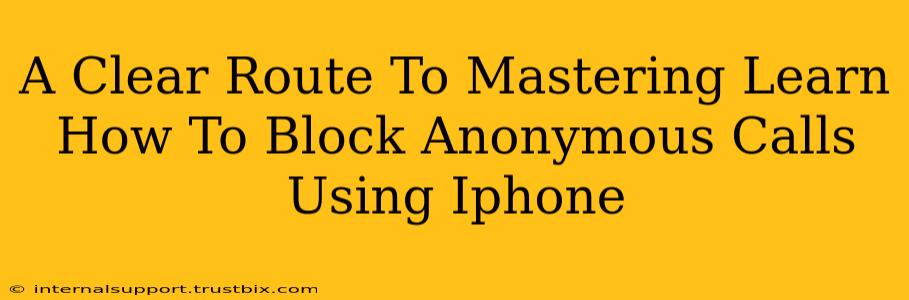 A Clear Route To Mastering Learn How To Block Anonymous Calls Using Iphone