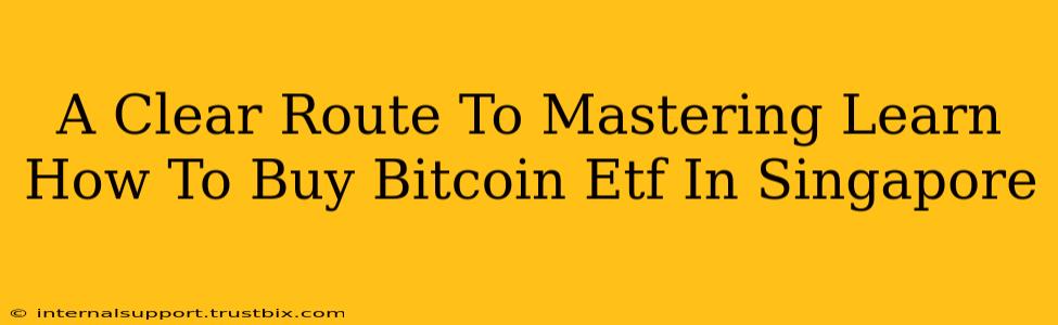 A Clear Route To Mastering Learn How To Buy Bitcoin Etf In Singapore