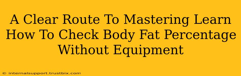 A Clear Route To Mastering Learn How To Check Body Fat Percentage Without Equipment