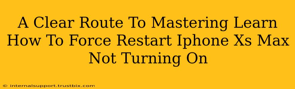 A Clear Route To Mastering Learn How To Force Restart Iphone Xs Max Not Turning On