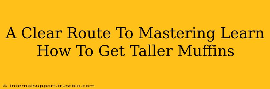 A Clear Route To Mastering Learn How To Get Taller Muffins