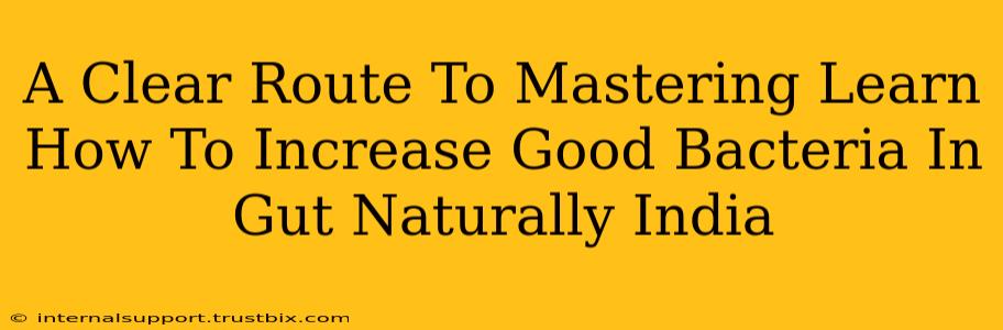 A Clear Route To Mastering Learn How To Increase Good Bacteria In Gut Naturally India