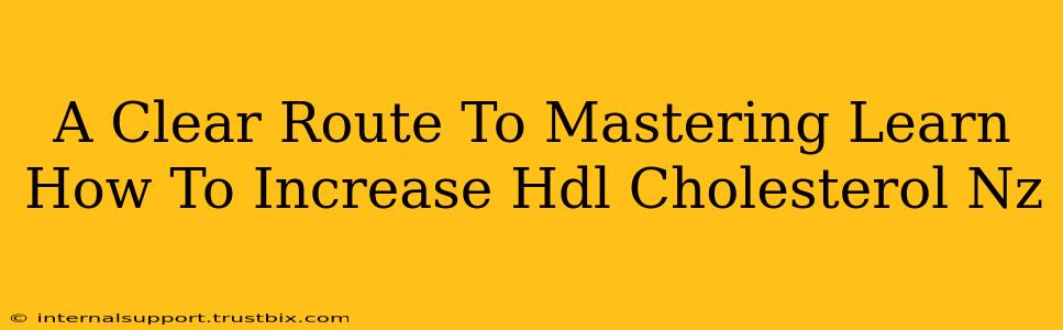 A Clear Route To Mastering Learn How To Increase Hdl Cholesterol Nz