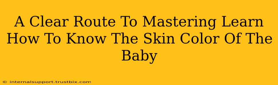 A Clear Route To Mastering Learn How To Know The Skin Color Of The Baby