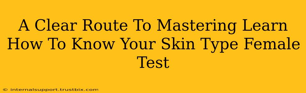 A Clear Route To Mastering Learn How To Know Your Skin Type Female Test