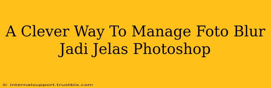 A Clever Way To Manage Foto Blur Jadi Jelas Photoshop