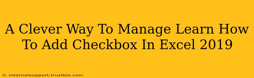 A Clever Way To Manage Learn How To Add Checkbox In Excel 2019