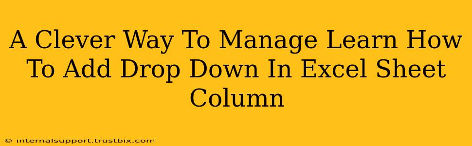 A Clever Way To Manage Learn How To Add Drop Down In Excel Sheet Column