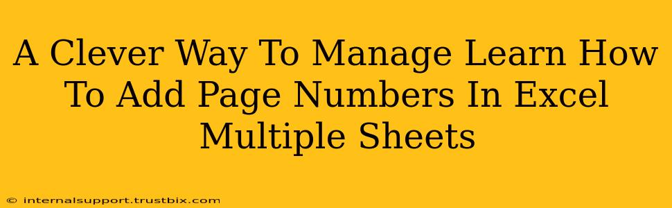 A Clever Way To Manage Learn How To Add Page Numbers In Excel Multiple Sheets