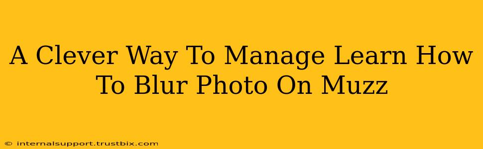 A Clever Way To Manage Learn How To Blur Photo On Muzz