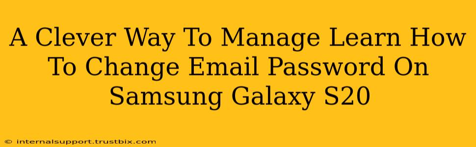 A Clever Way To Manage Learn How To Change Email Password On Samsung Galaxy S20