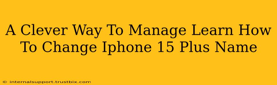 A Clever Way To Manage Learn How To Change Iphone 15 Plus Name