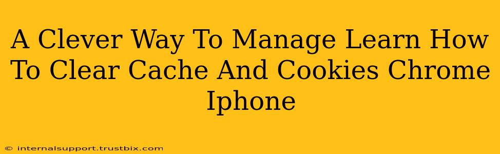 A Clever Way To Manage Learn How To Clear Cache And Cookies Chrome Iphone