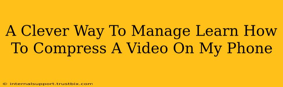 A Clever Way To Manage Learn How To Compress A Video On My Phone