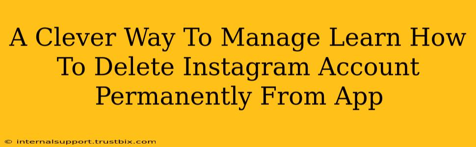 A Clever Way To Manage Learn How To Delete Instagram Account Permanently From App