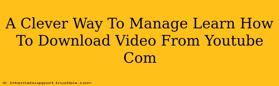 A Clever Way To Manage Learn How To Download Video From Youtube Com