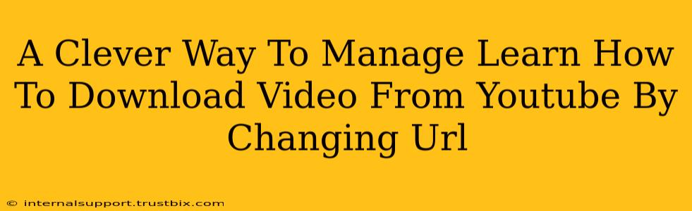 A Clever Way To Manage Learn How To Download Video From Youtube By Changing Url