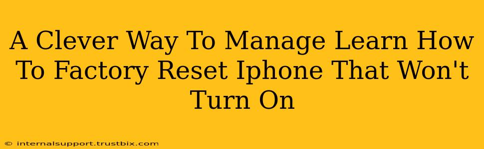 A Clever Way To Manage Learn How To Factory Reset Iphone That Won't Turn On