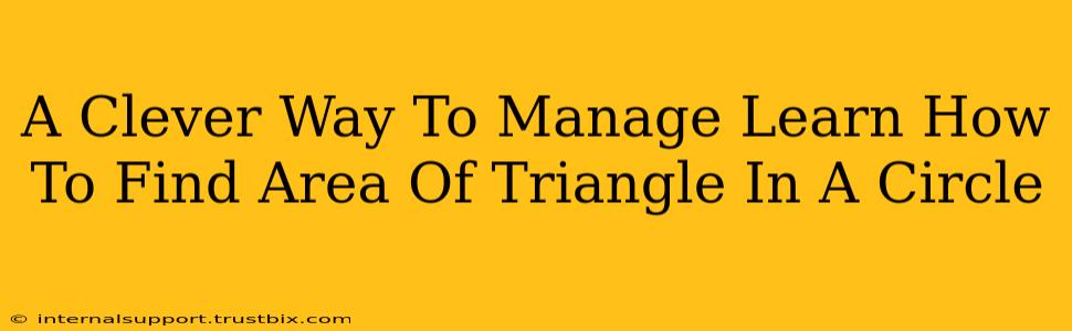 A Clever Way To Manage Learn How To Find Area Of Triangle In A Circle