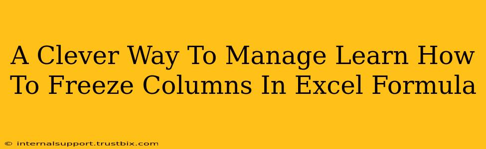 A Clever Way To Manage Learn How To Freeze Columns In Excel Formula