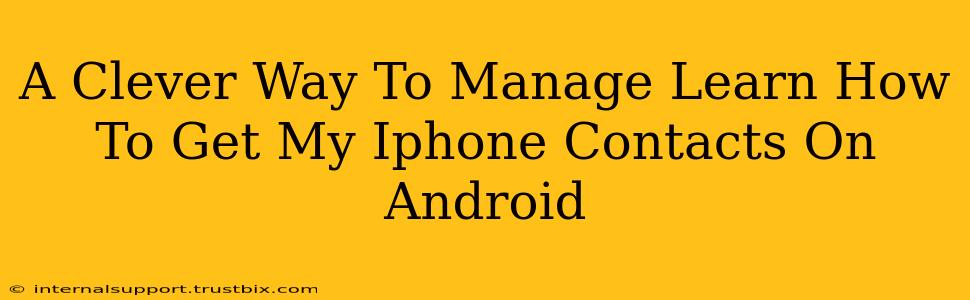 A Clever Way To Manage Learn How To Get My Iphone Contacts On Android