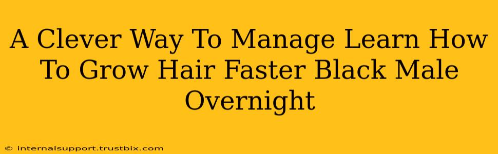 A Clever Way To Manage Learn How To Grow Hair Faster Black Male Overnight