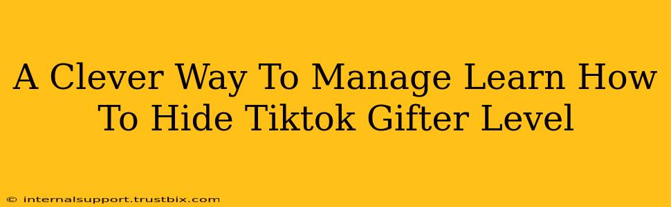 A Clever Way To Manage Learn How To Hide Tiktok Gifter Level