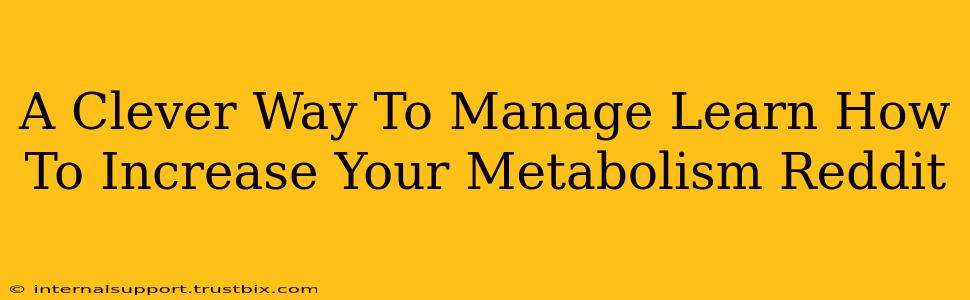 A Clever Way To Manage Learn How To Increase Your Metabolism Reddit