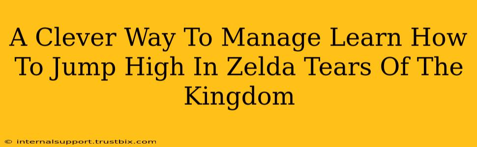 A Clever Way To Manage Learn How To Jump High In Zelda Tears Of The Kingdom