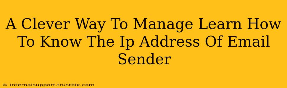 A Clever Way To Manage Learn How To Know The Ip Address Of Email Sender