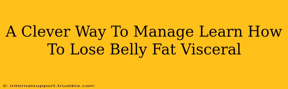 A Clever Way To Manage Learn How To Lose Belly Fat Visceral