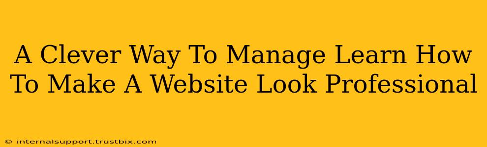 A Clever Way To Manage Learn How To Make A Website Look Professional