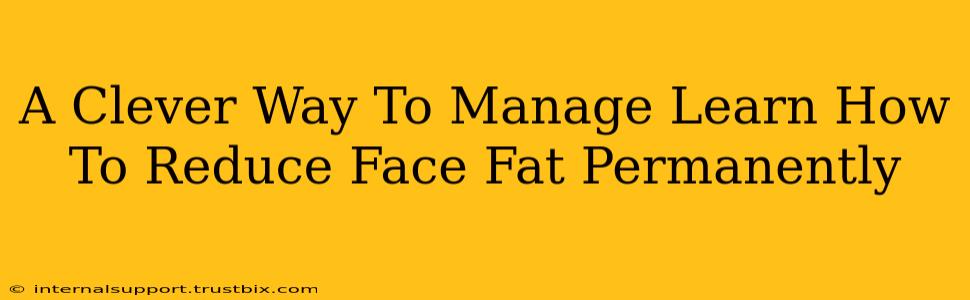 A Clever Way To Manage Learn How To Reduce Face Fat Permanently