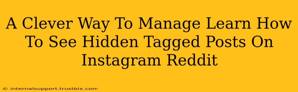 A Clever Way To Manage Learn How To See Hidden Tagged Posts On Instagram Reddit